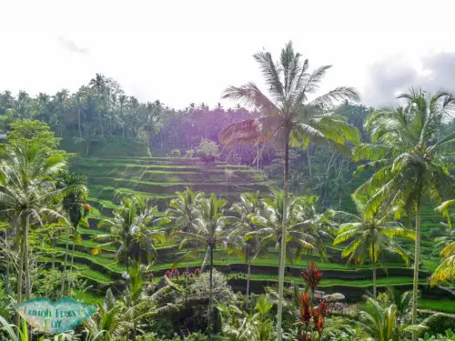 Bali itinerary: 10 days of adventure for first time visitors - Laugh ...