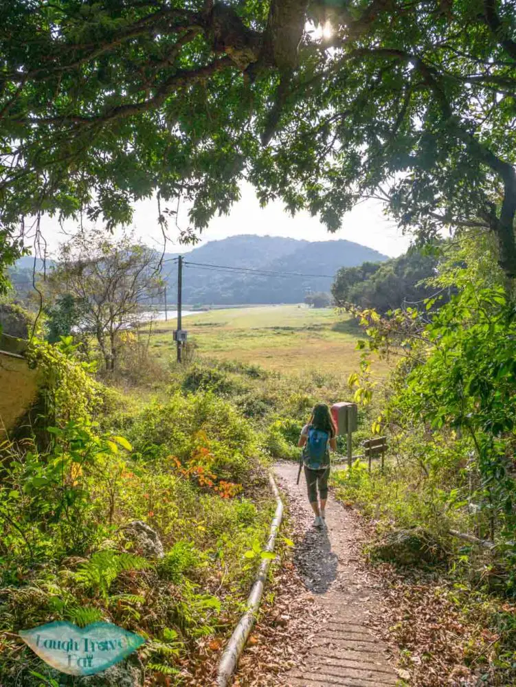 Best of Sai Kung's nature: Lai Chi Chong, Sham Chung, and Yung Shue O ...