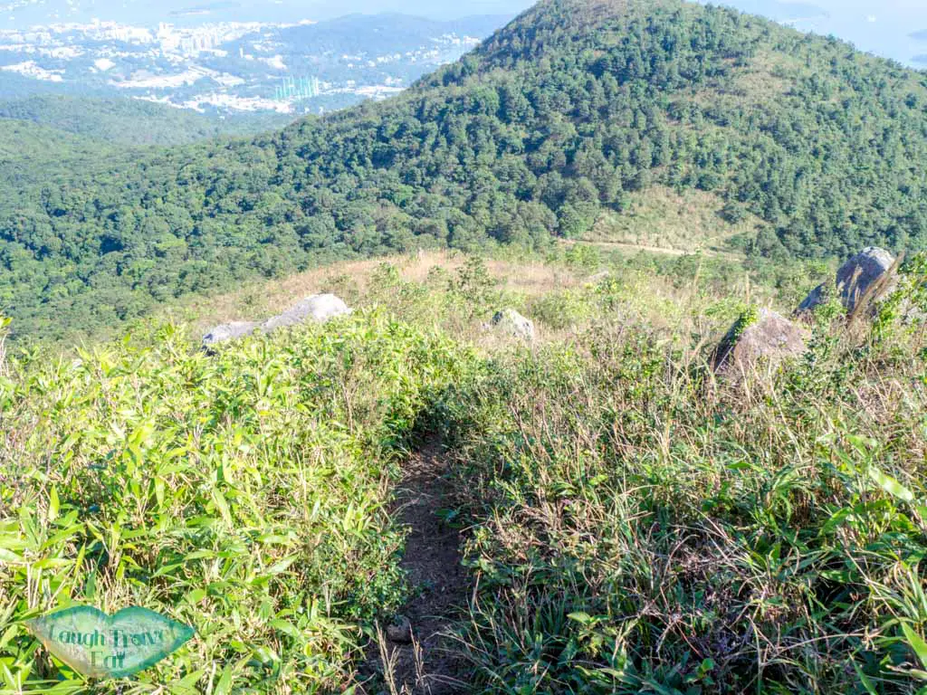 Buffalo Hills: hike up rocky outcrops and silver grass in Hong Kong ...