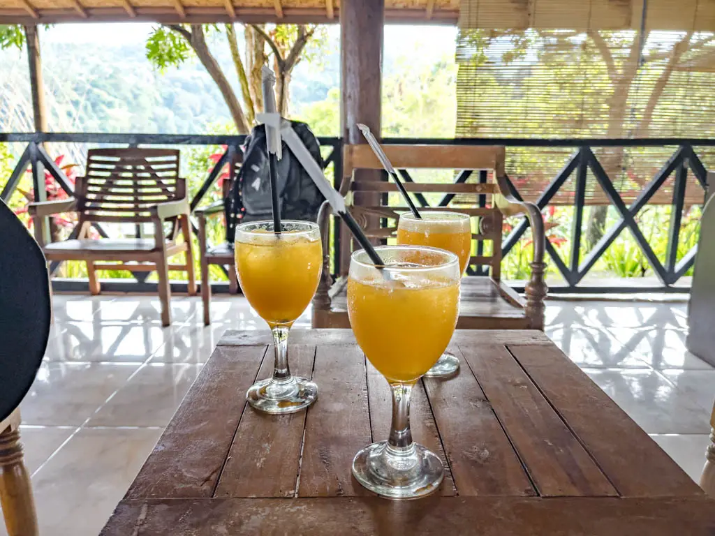 welcome drink Pondok Senaru Cottages hajar trekking mount rinjani senaru lombok indonesia - laugh travel eat